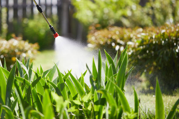 24/7 Emergency Mosquito Control experts in Monroe, GA