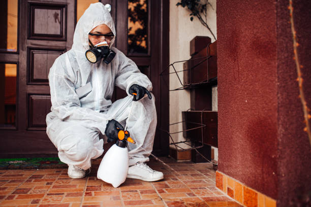 Reliable Mosquito Control contractor in Monroe, GA by Nex Pest Control